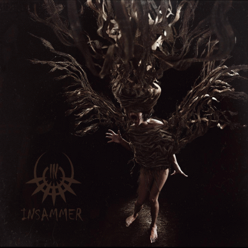 Insammer : Numbers As Victims